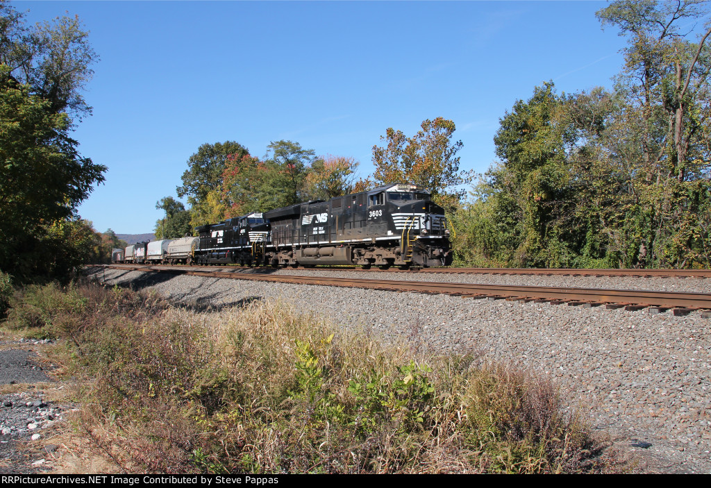 NS 3603 leads train 38G